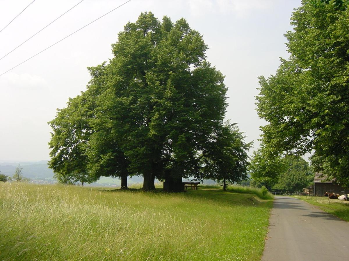 Hotel Landhaus Appel Schotten Buitenkant foto